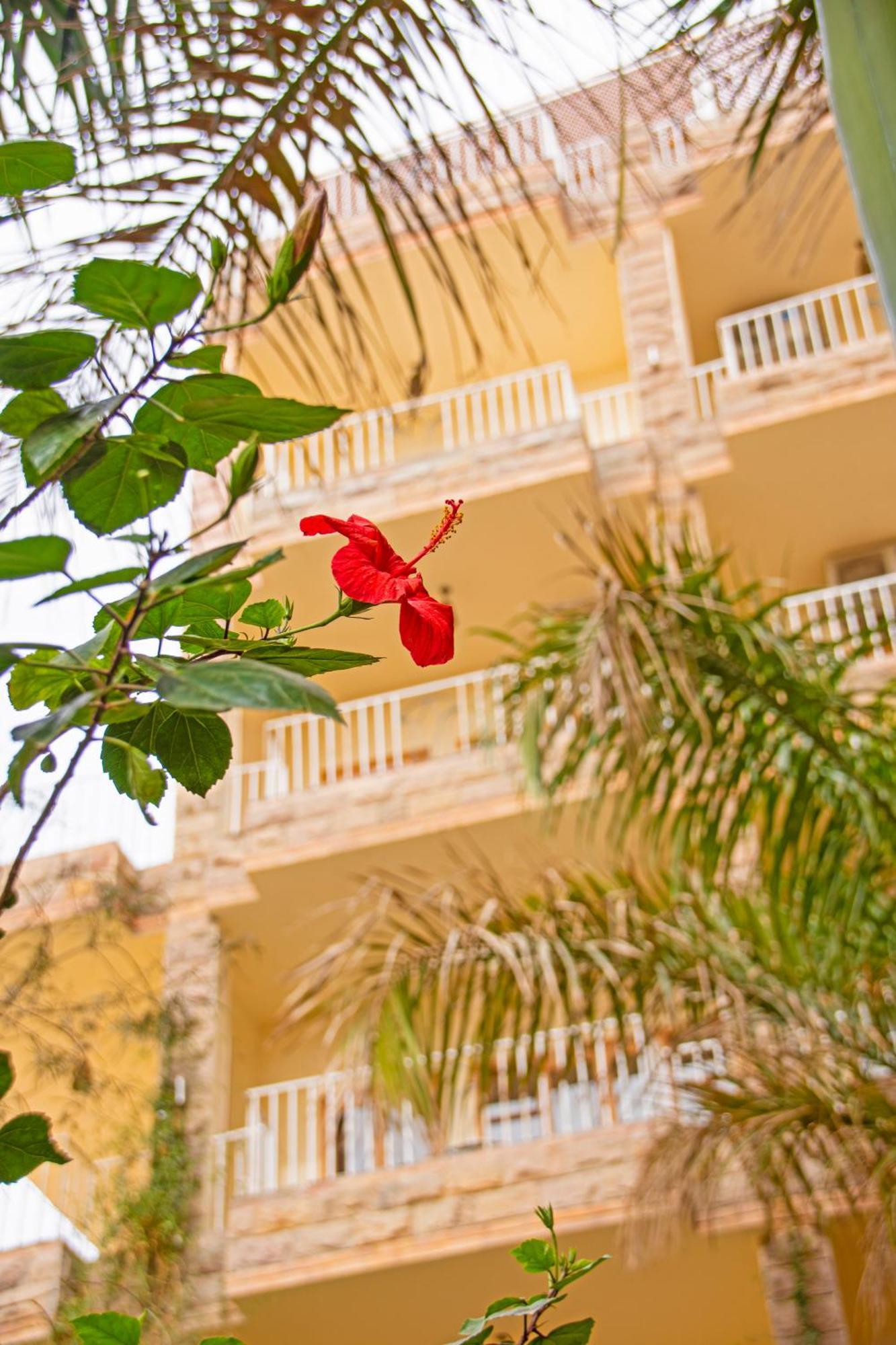Thebes Hotel Luxor Exterior foto